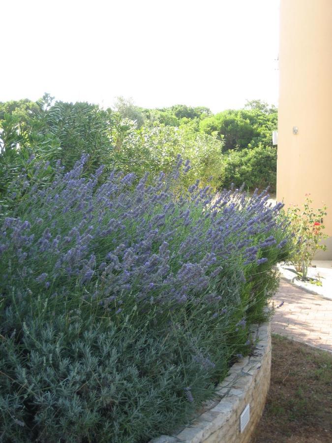 סבטי פיליפ אי ג'קוב Villa „Drei Palmen“ מראה חיצוני תמונה