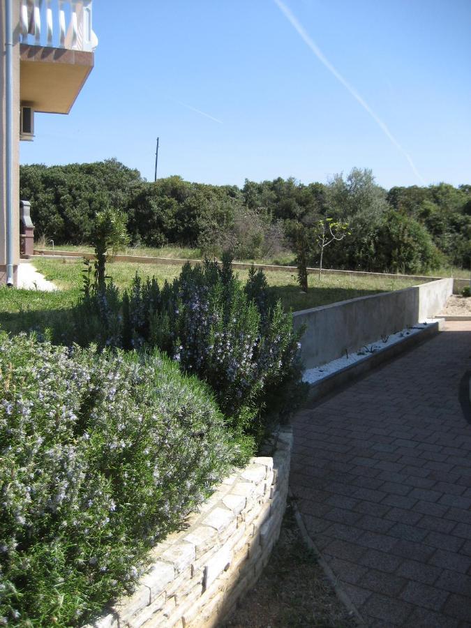סבטי פיליפ אי ג'קוב Villa „Drei Palmen“ מראה חיצוני תמונה